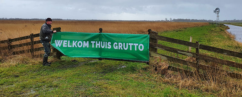 Welkom thuis grutto hekdoek ophangen bij Prikwei in It Fryske Gea