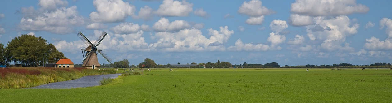 Het Friese landschap Foto: Jan Tijsma